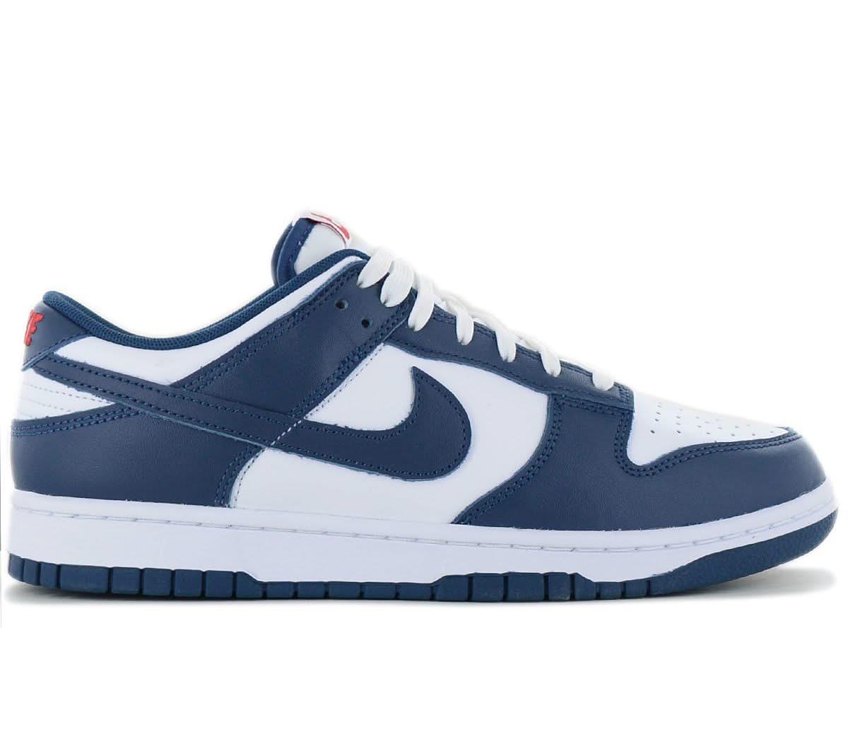 Nike Dunk Low Retro Men's Sneakers Shoes Leather Blue-White DD1391-4