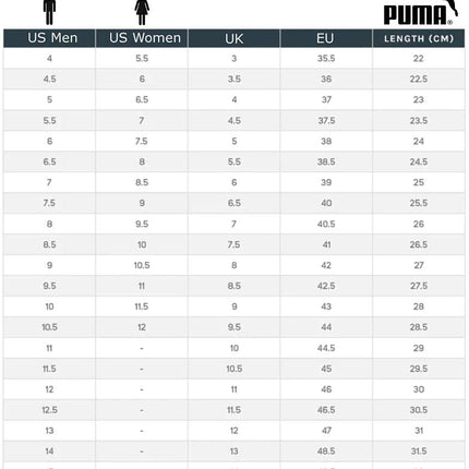 Puma City Rider électrique - Chaussures décontractées pour hommes 382045-07