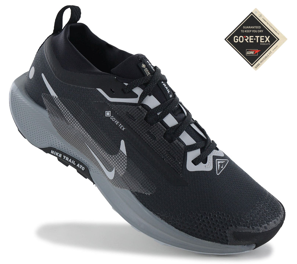 Nike Pegasus Trail 5 GTX GORE-TEX - Men