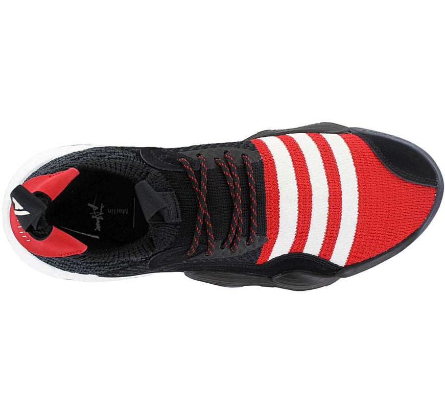 adidas Trae Young 2.0 - Herren Sneakers Basketball Schuhe IF2163